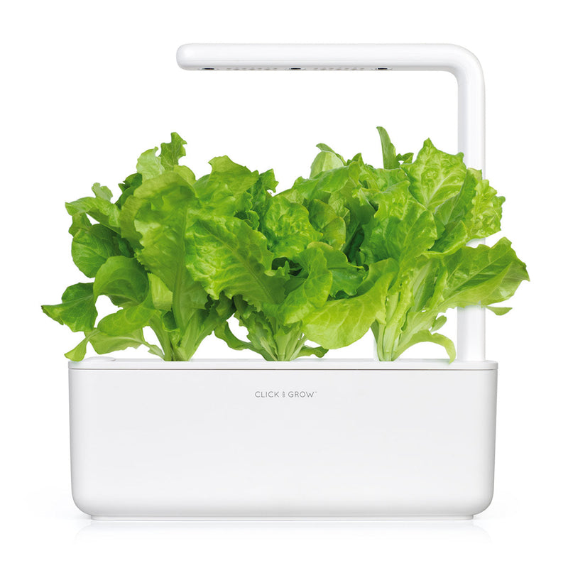Click and Grow - Green Lettuce Plant Pods - 3 packs