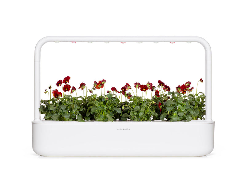 Click and Grow - Red Pansy Plant Pods - 3 Pack