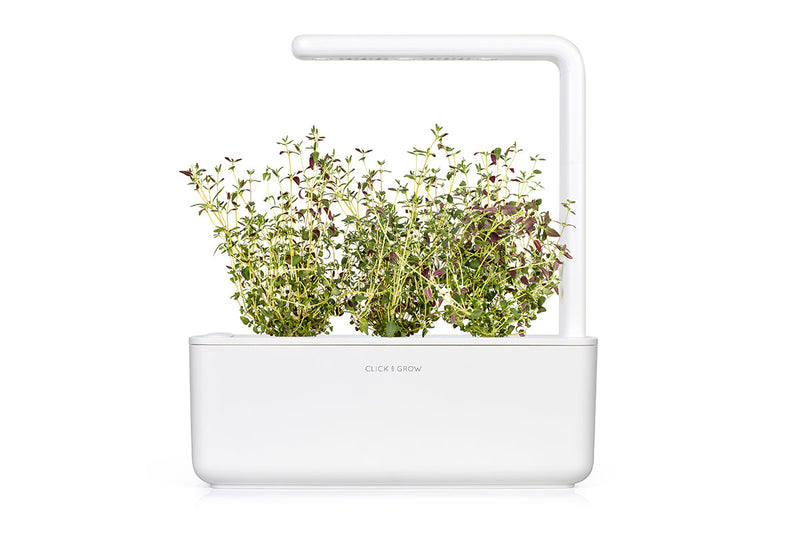 Click & Grow - Thyme Plant Pods - 3 packs